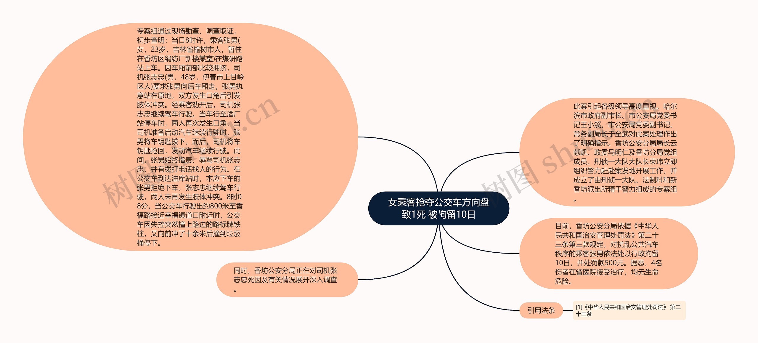 女乘客抢夺公交车方向盘致1死 被拘留10日