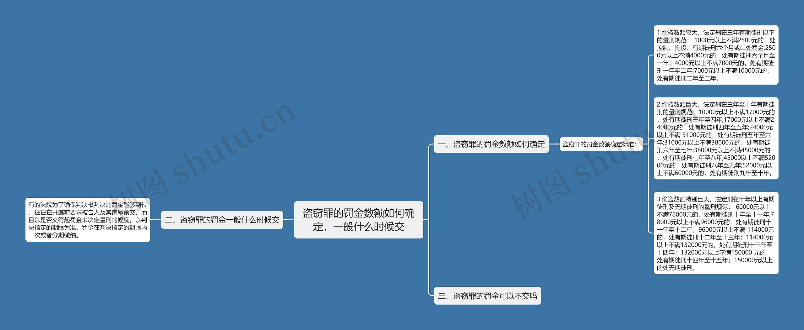 盗窃罪的罚金数额如何确定，一般什么时候交思维导图