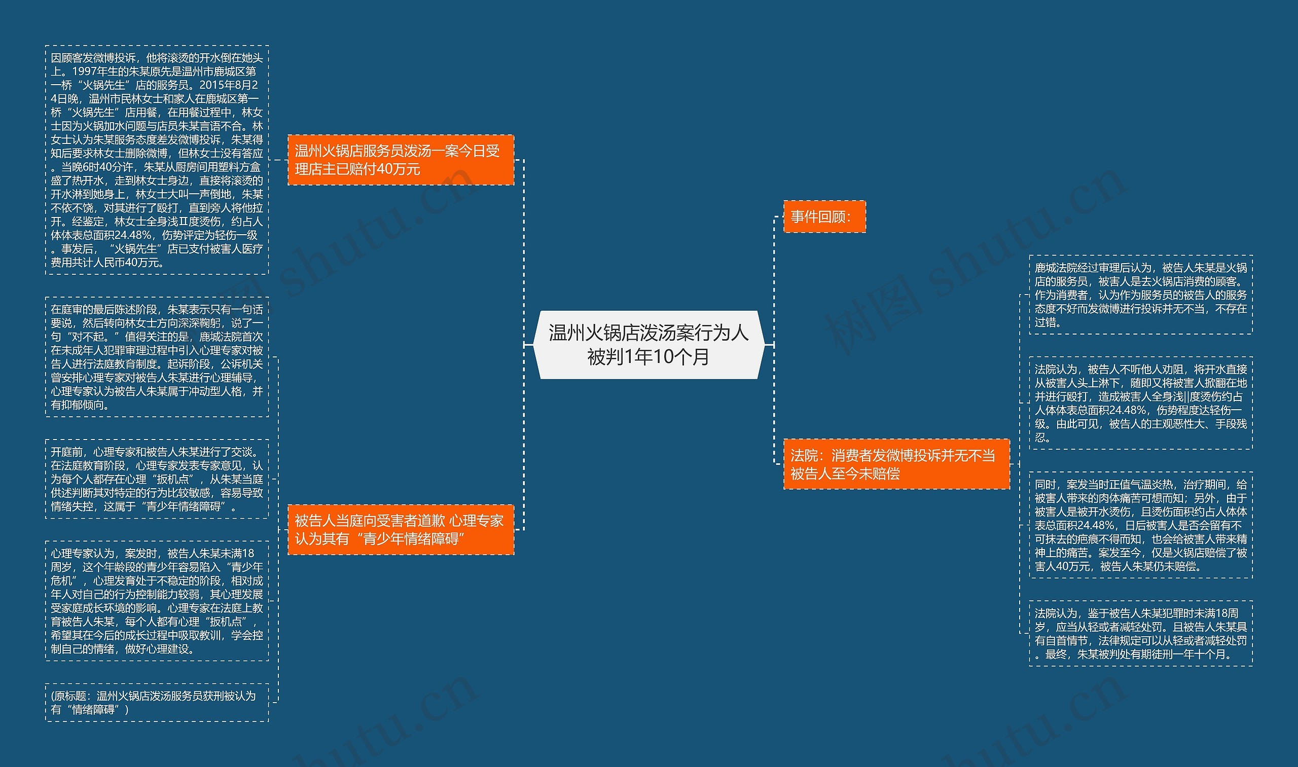 温州火锅店泼汤案行为人被判1年10个月思维导图