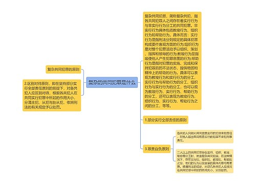 复杂的共同犯罪是什么