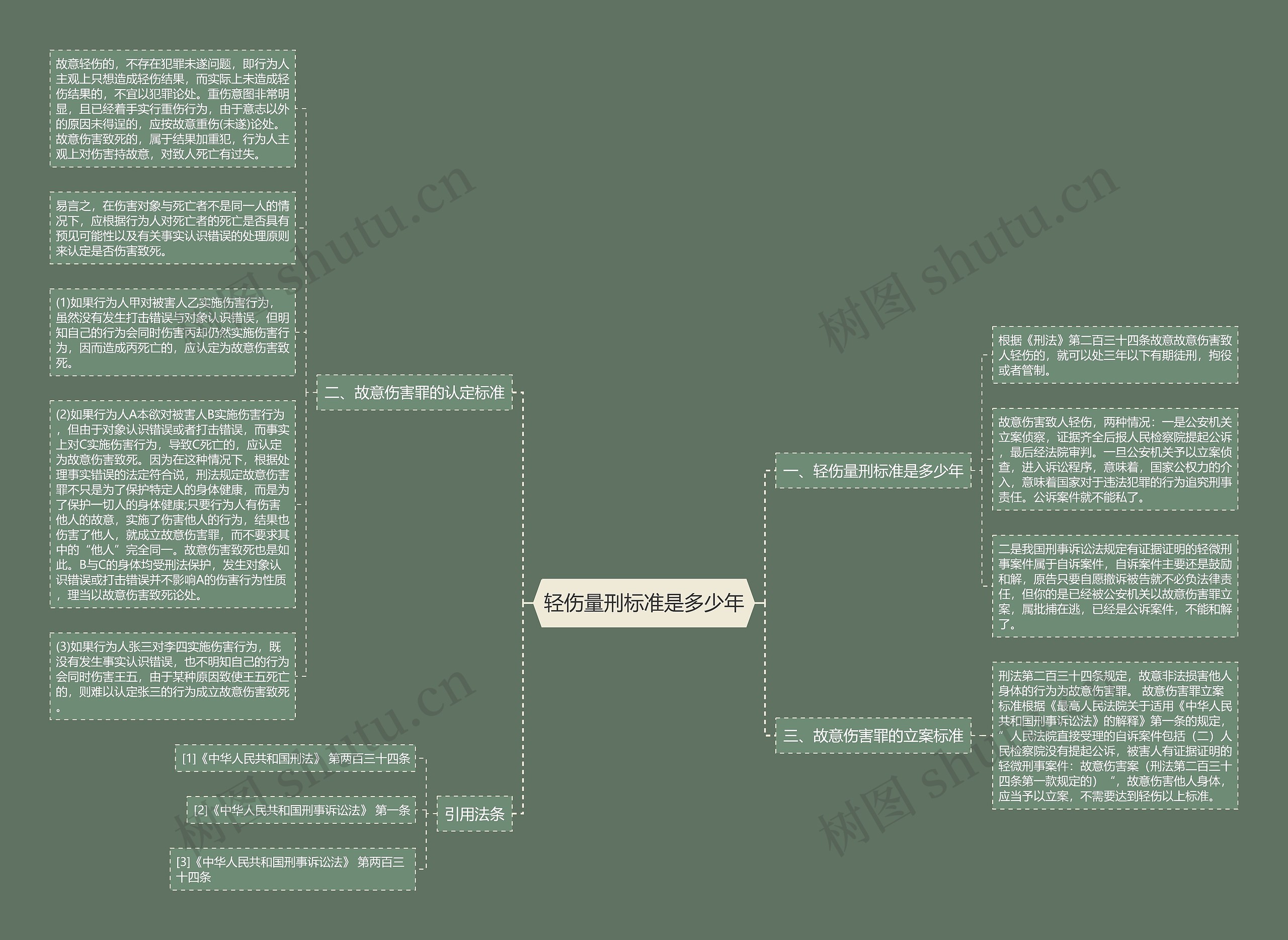 轻伤量刑标准是多少年思维导图