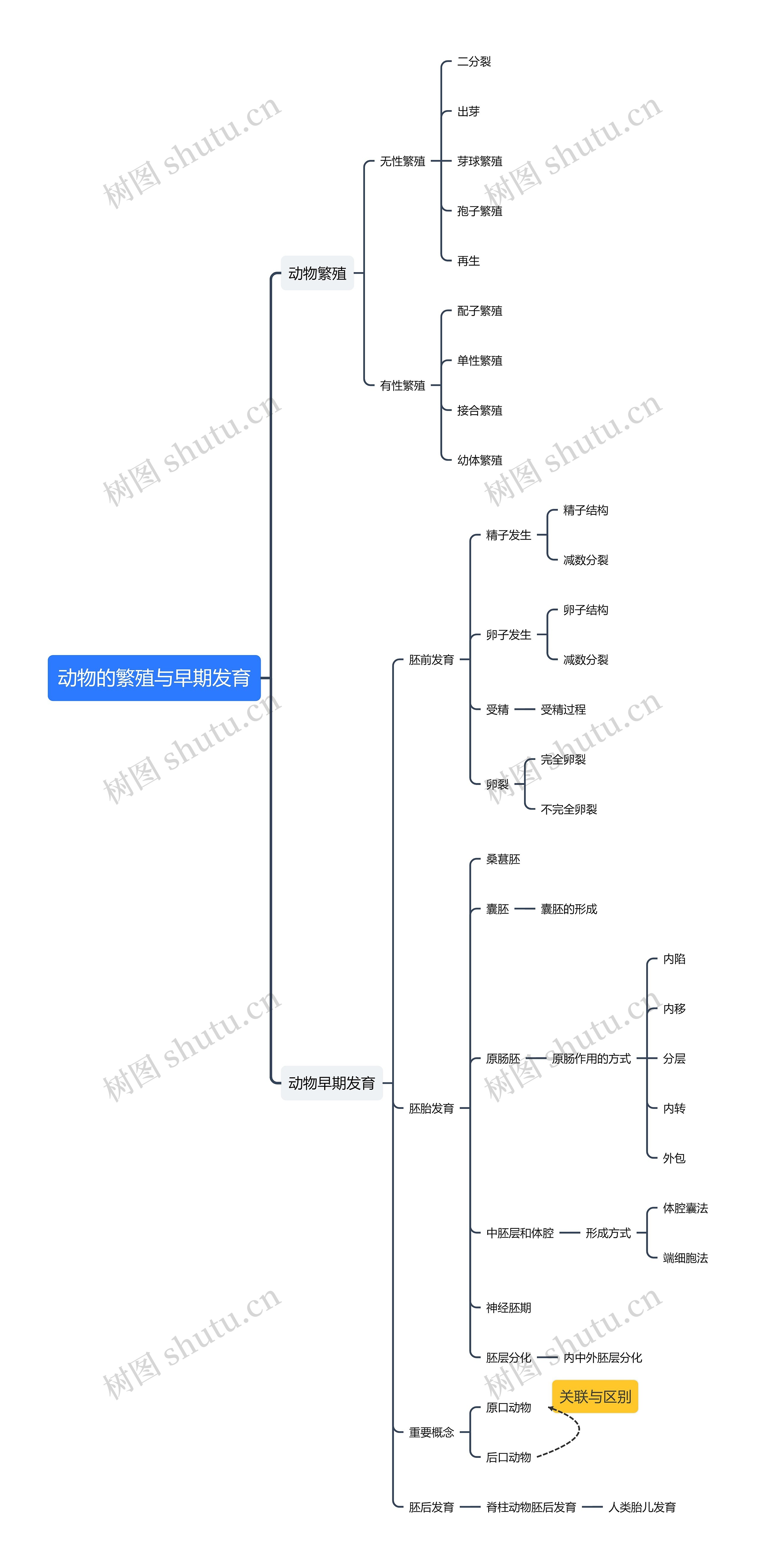 动物的繁殖与早期发育思维导图