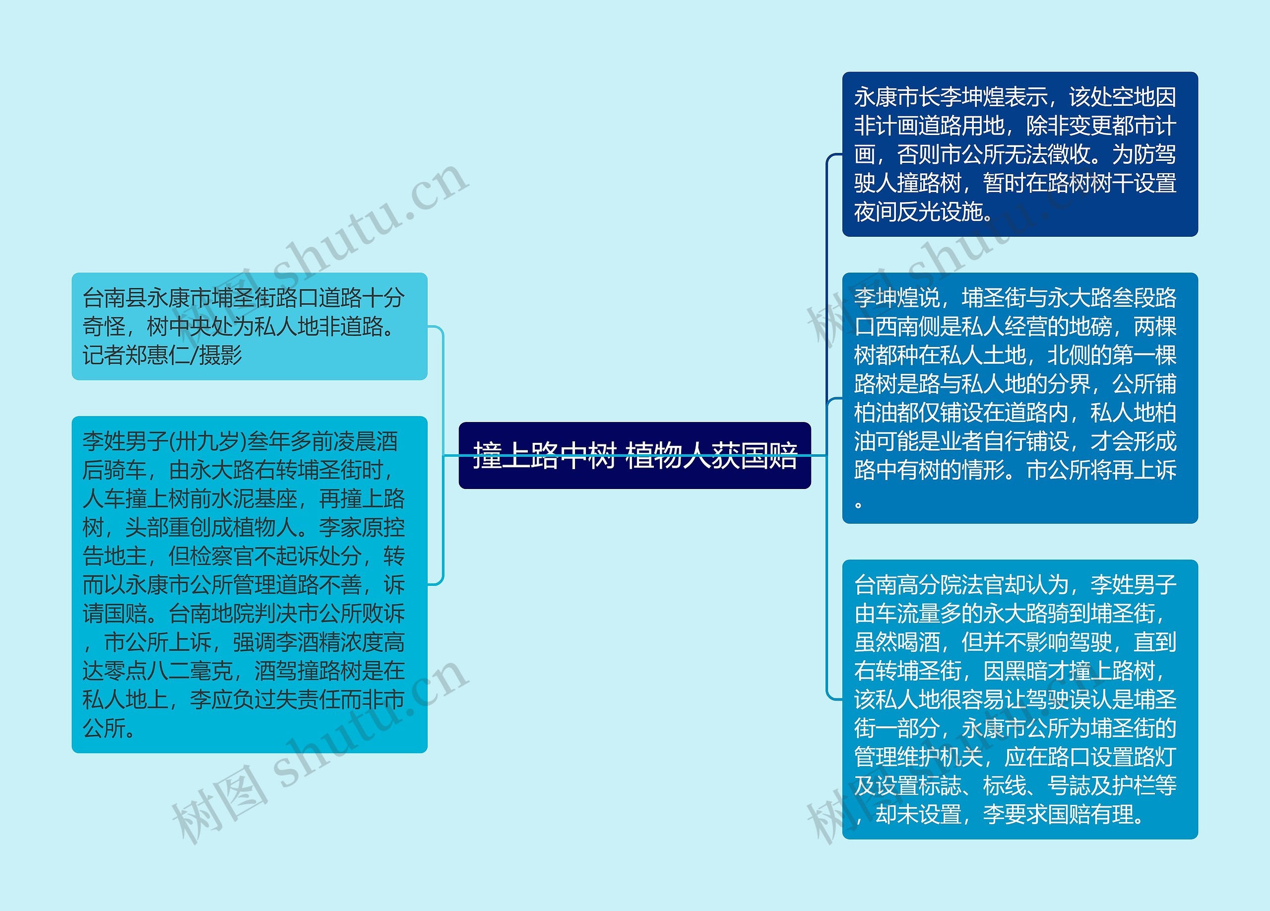 撞上路中树 植物人获国赔思维导图