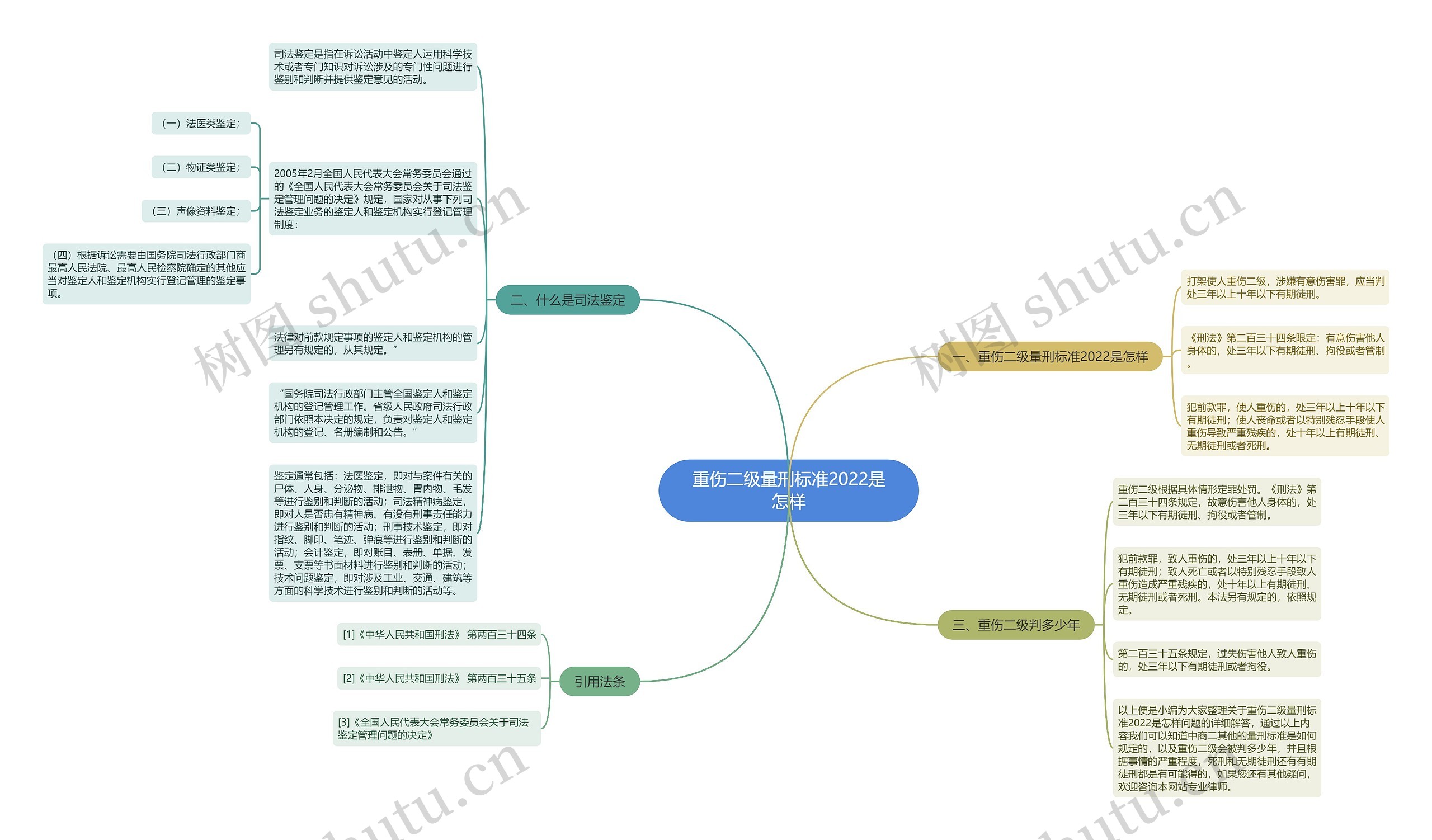 重伤二级量刑标准2022是怎样思维导图