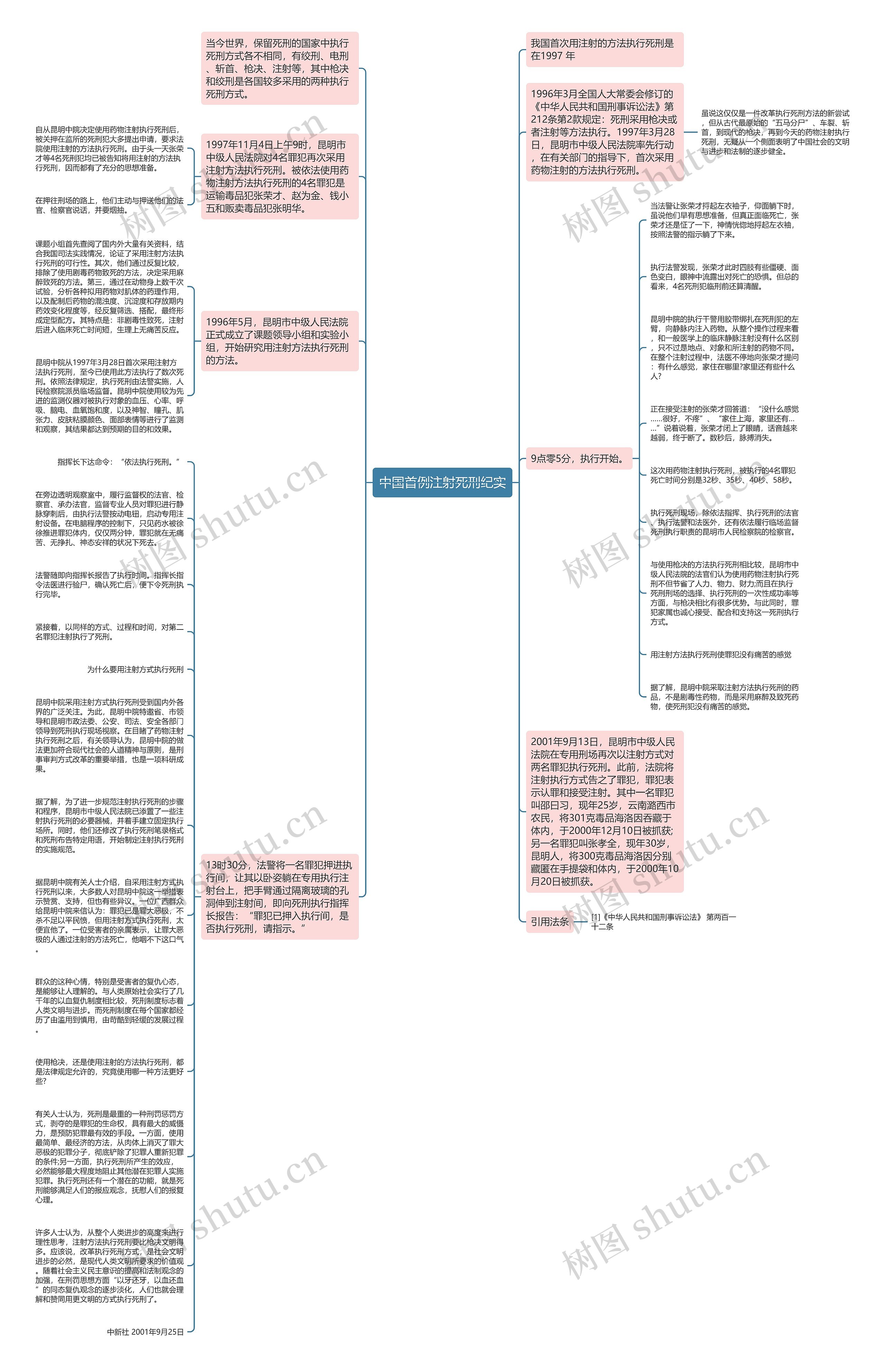 中国首例注射死刑纪实思维导图