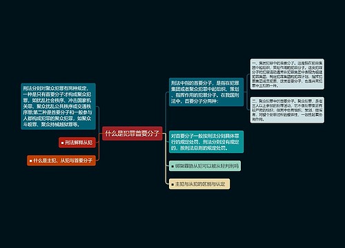 什么是犯罪首要分子