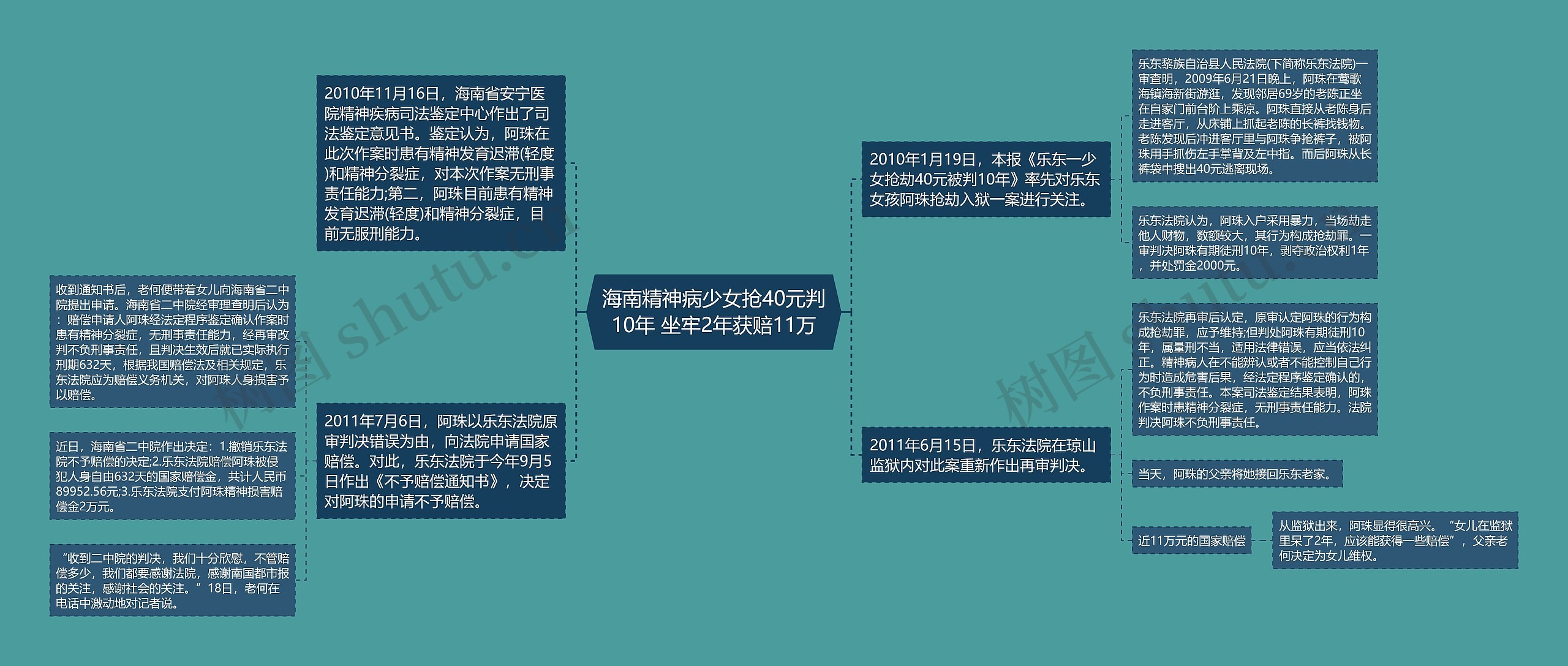 海南精神病少女抢40元判10年 坐牢2年获赔11万思维导图