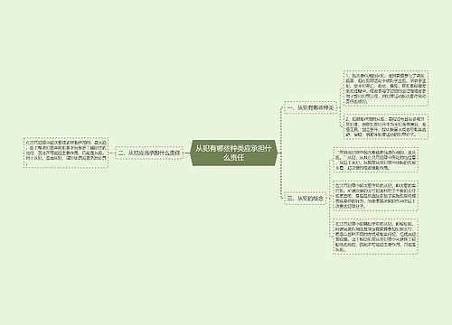 从犯有哪些种类应承担什么责任