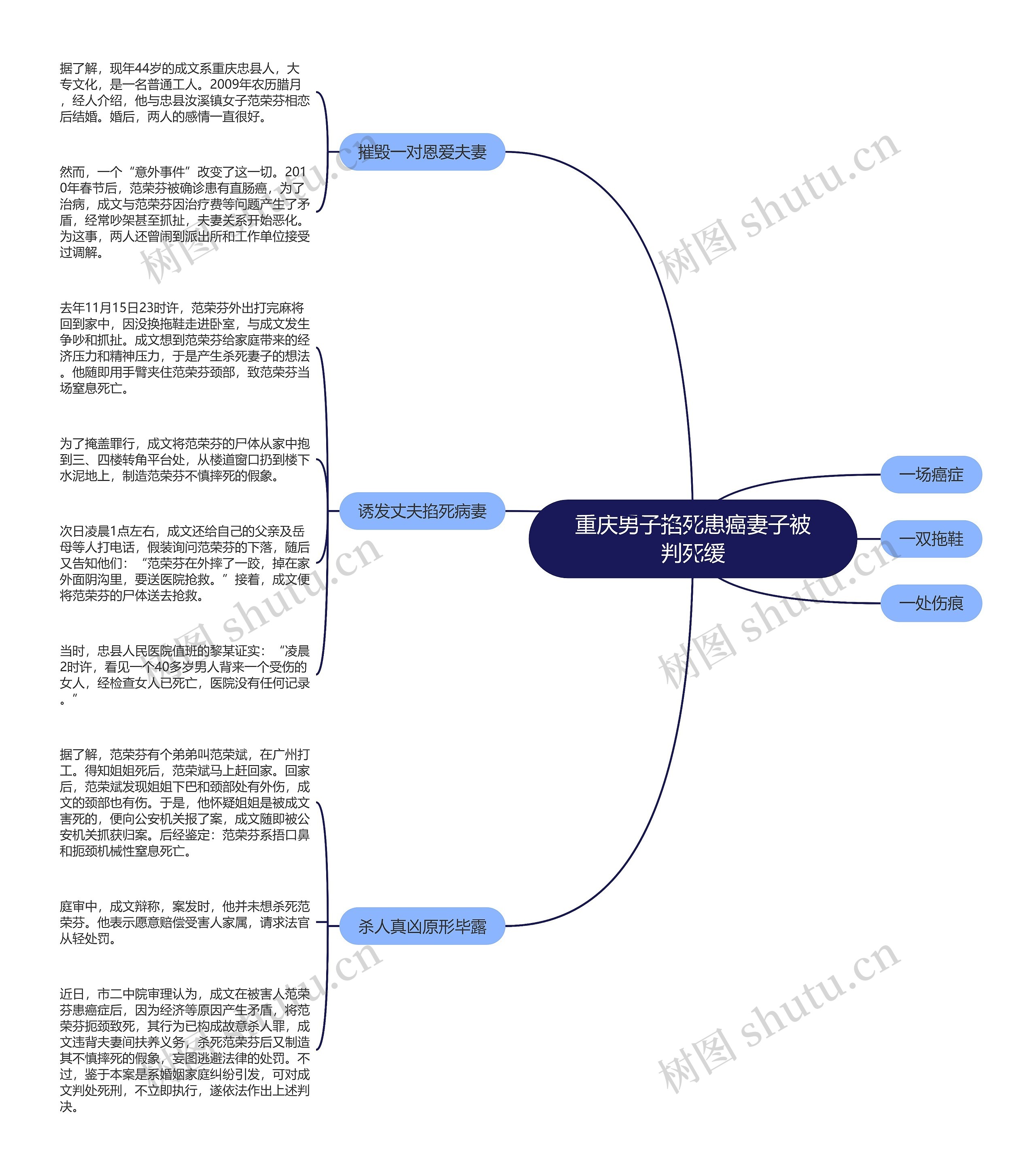 重庆男子掐死患癌妻子被判死缓思维导图