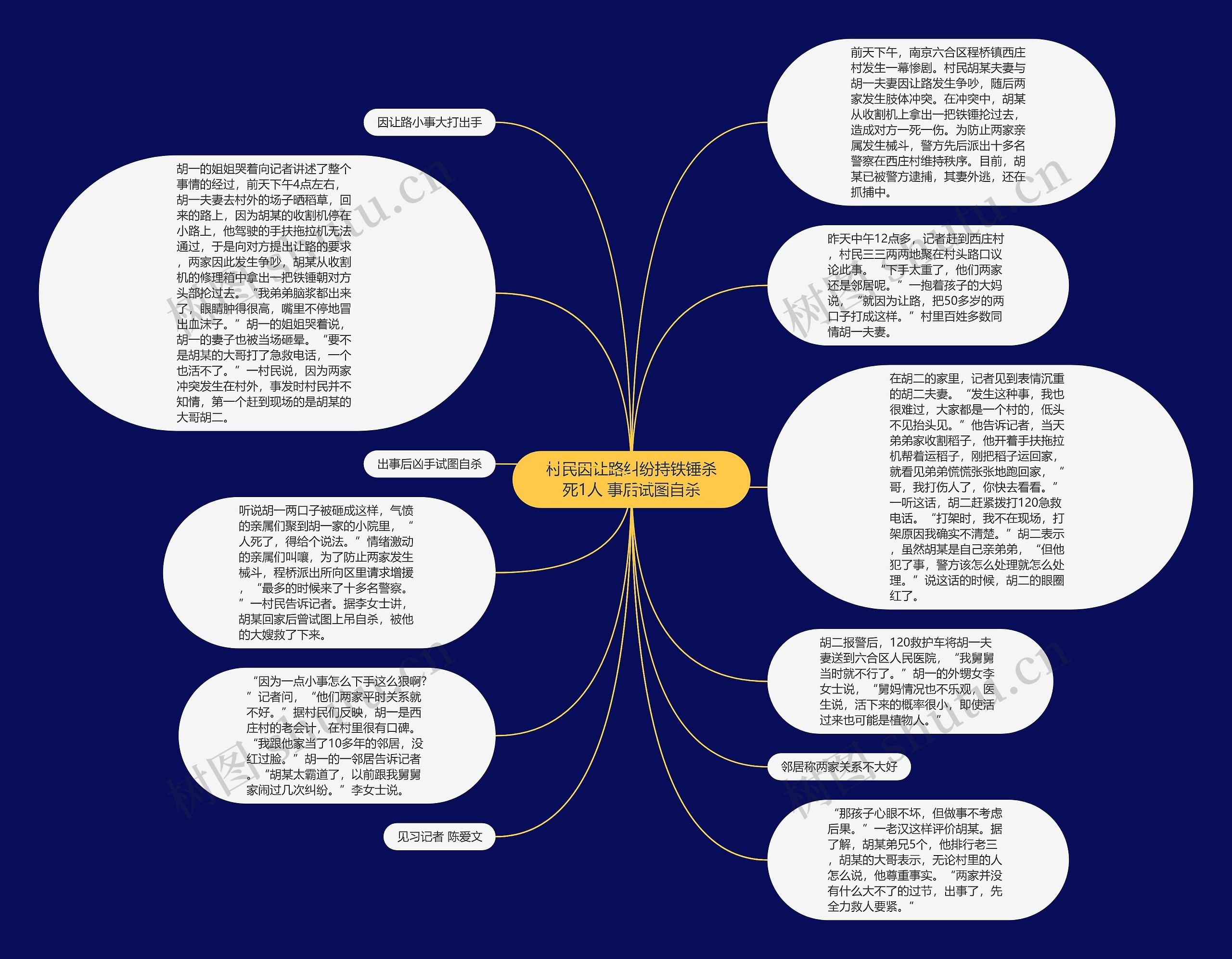 村民因让路纠纷持铁锤杀死1人 事后试图自杀思维导图