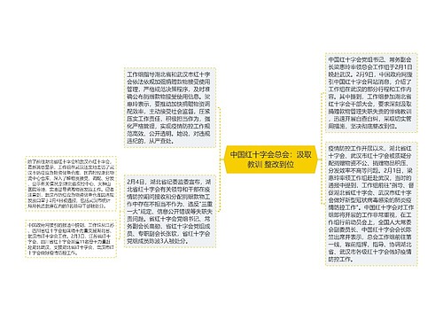 中国红十字会总会：汲取教训 整改到位