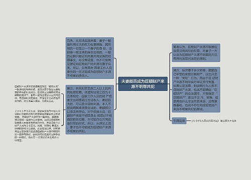 夫妻能否成为巨额财产来源不明罪共犯