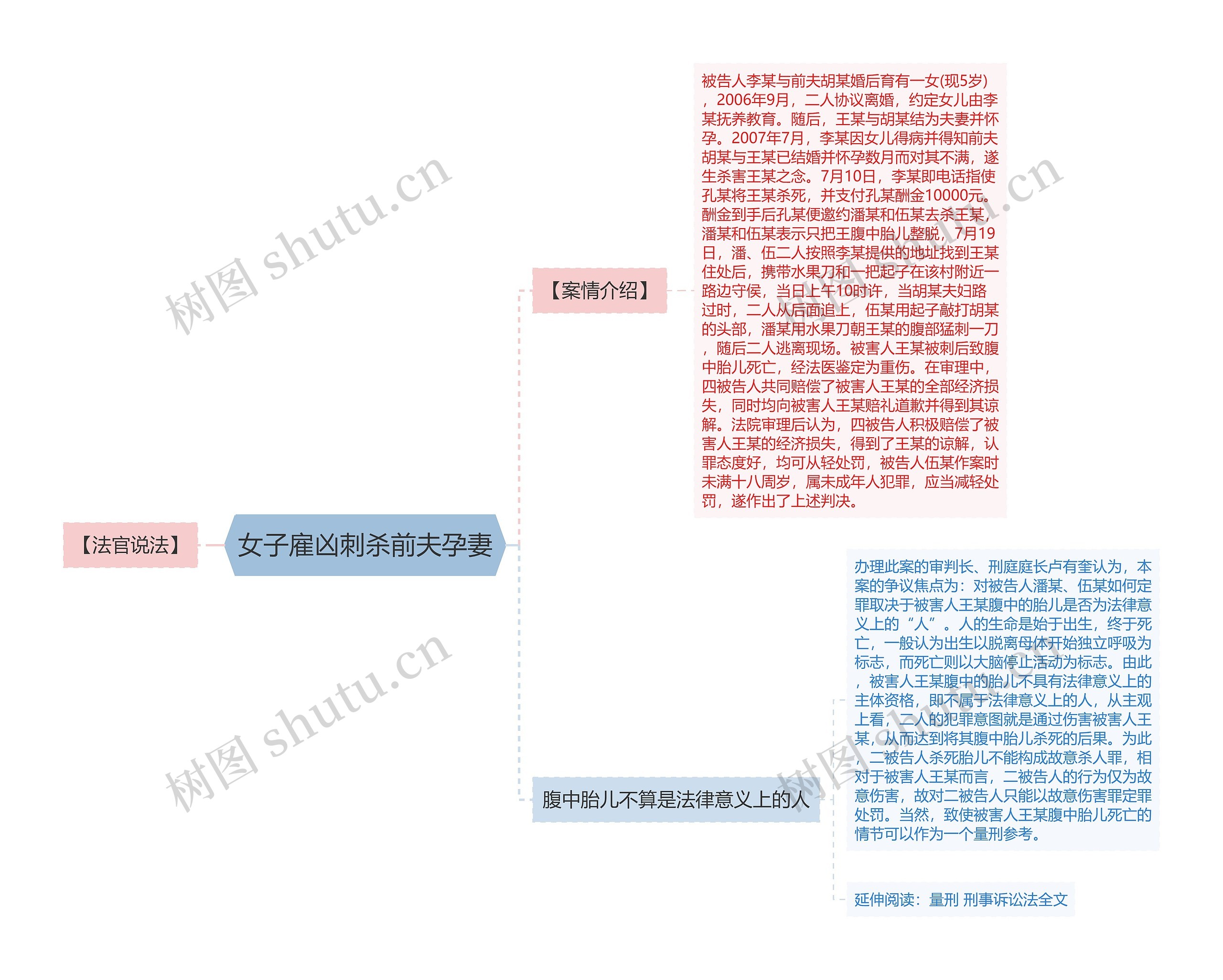 女子雇凶刺杀前夫孕妻思维导图