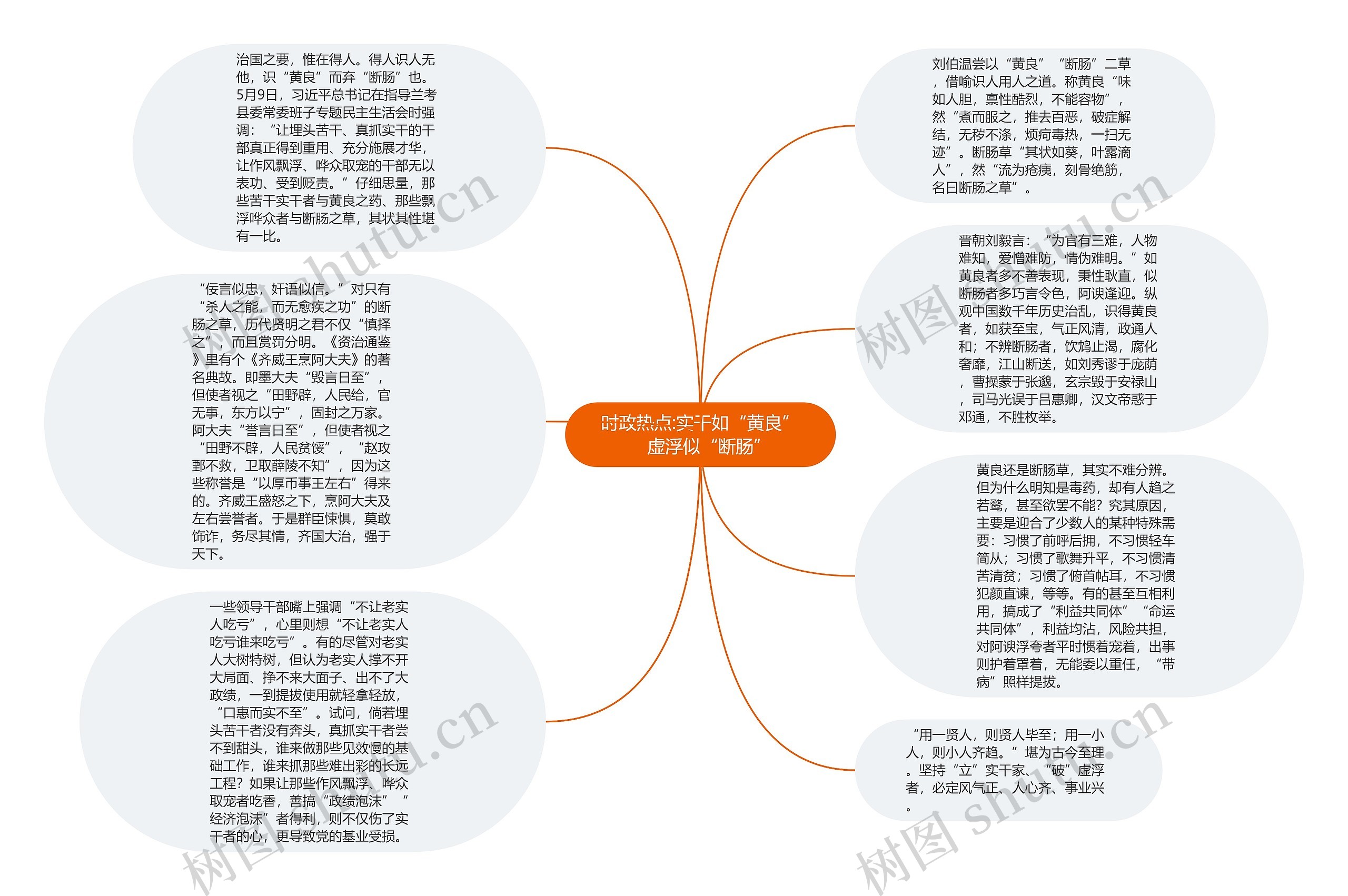 时政热点:实干如“黄良”　虚浮似“断肠”思维导图