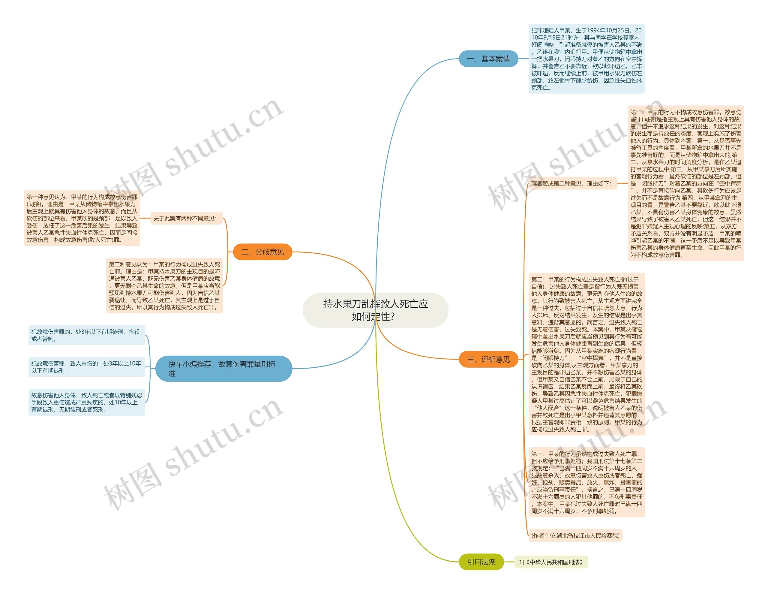 持水果刀乱挥致人死亡应如何定性？思维导图
