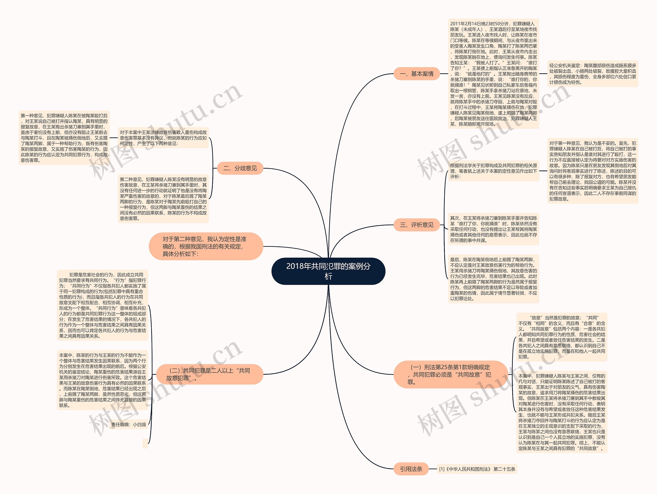 2018年共同犯罪的案例分析思维导图