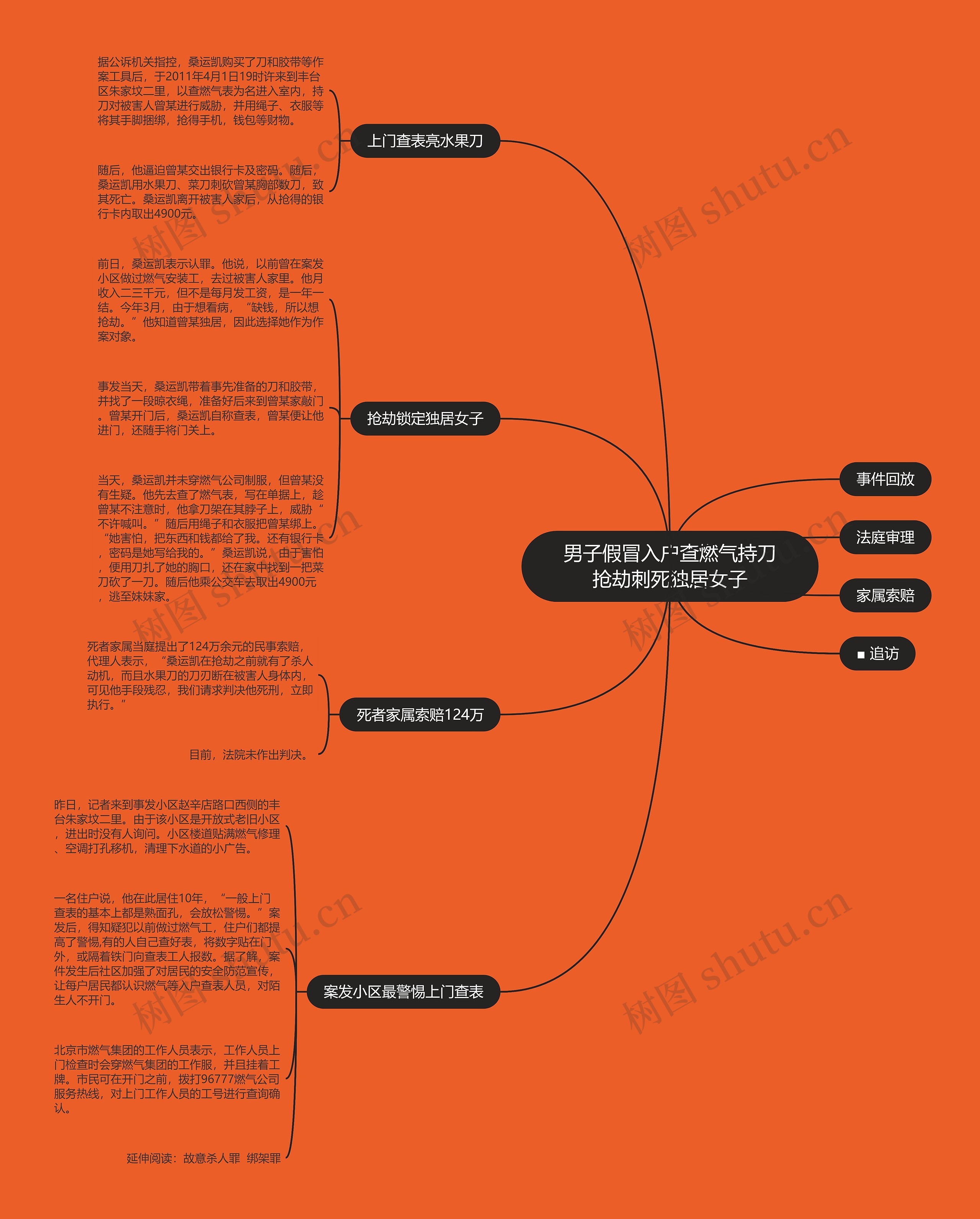 男子假冒入户查燃气持刀抢劫刺死独居女子思维导图
