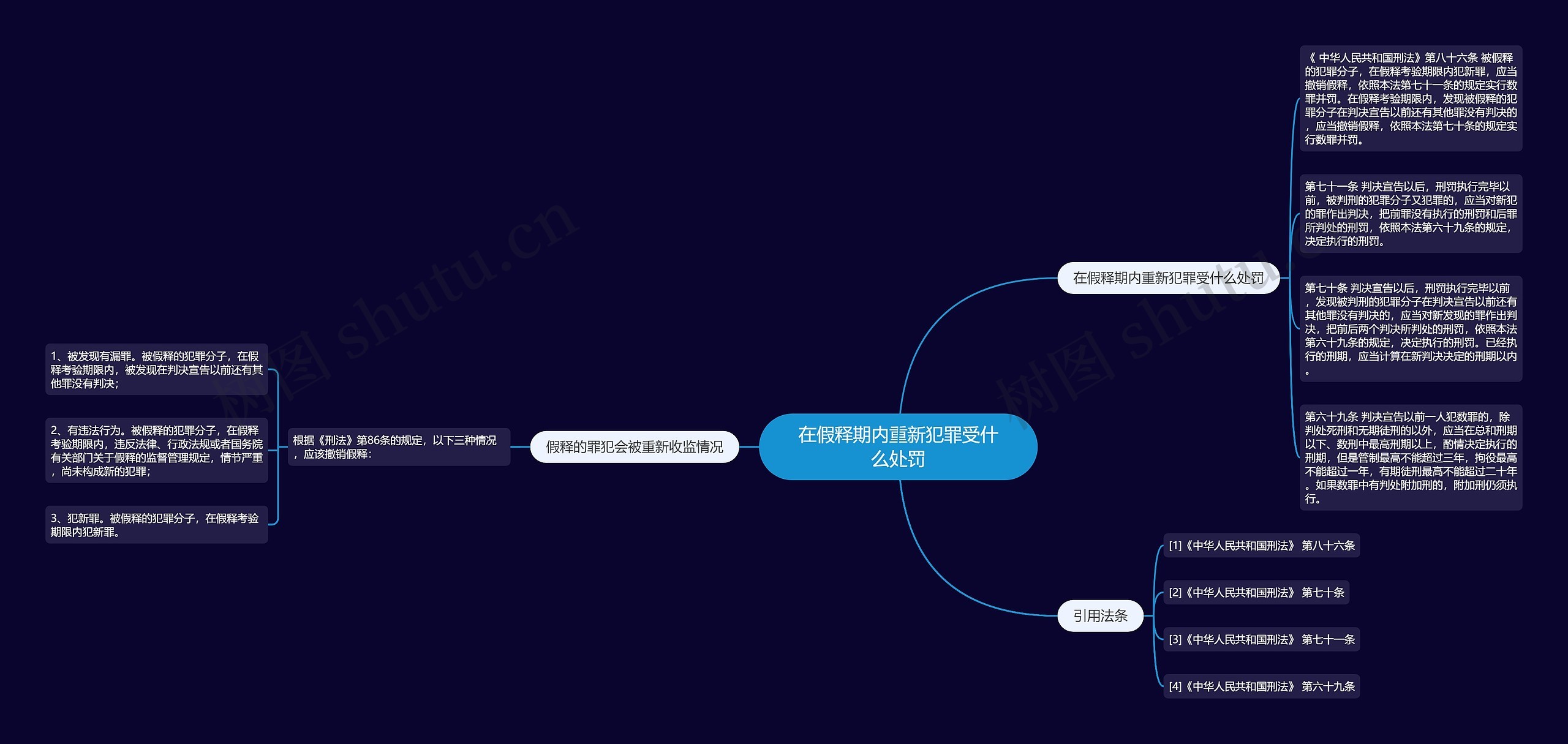 在假释期内重新犯罪受什么处罚思维导图