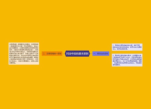 刑法中其他基本原则