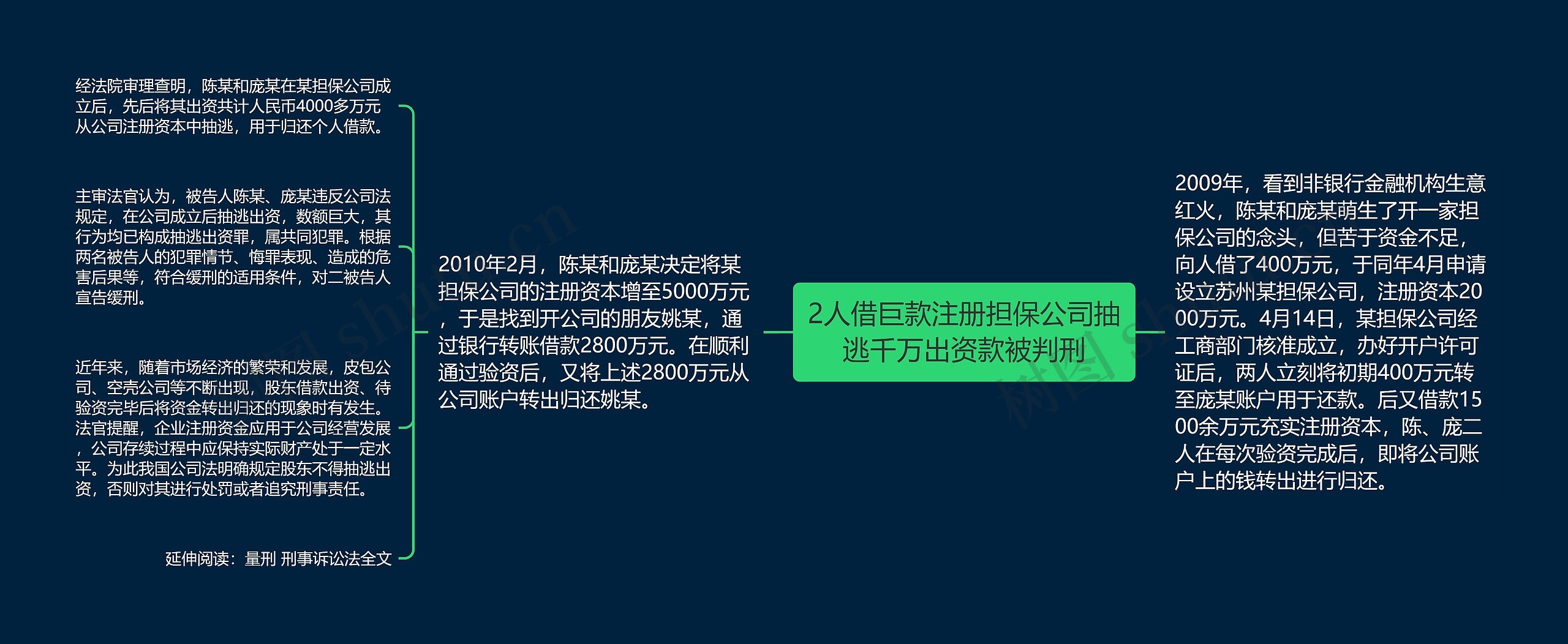 2人借巨款注册担保公司抽逃千万出资款被判刑思维导图