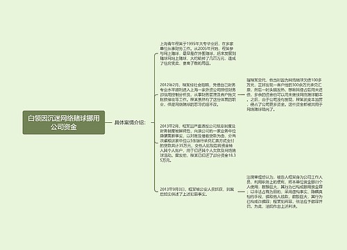 白领因沉迷网络赌球挪用公司资金