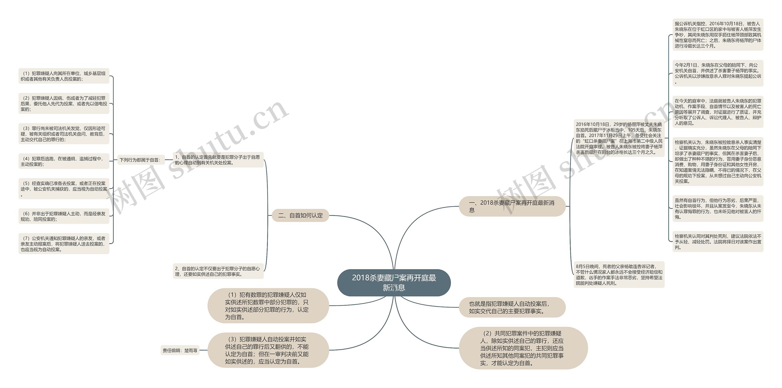 2018杀妻藏尸案再开庭最新消息思维导图