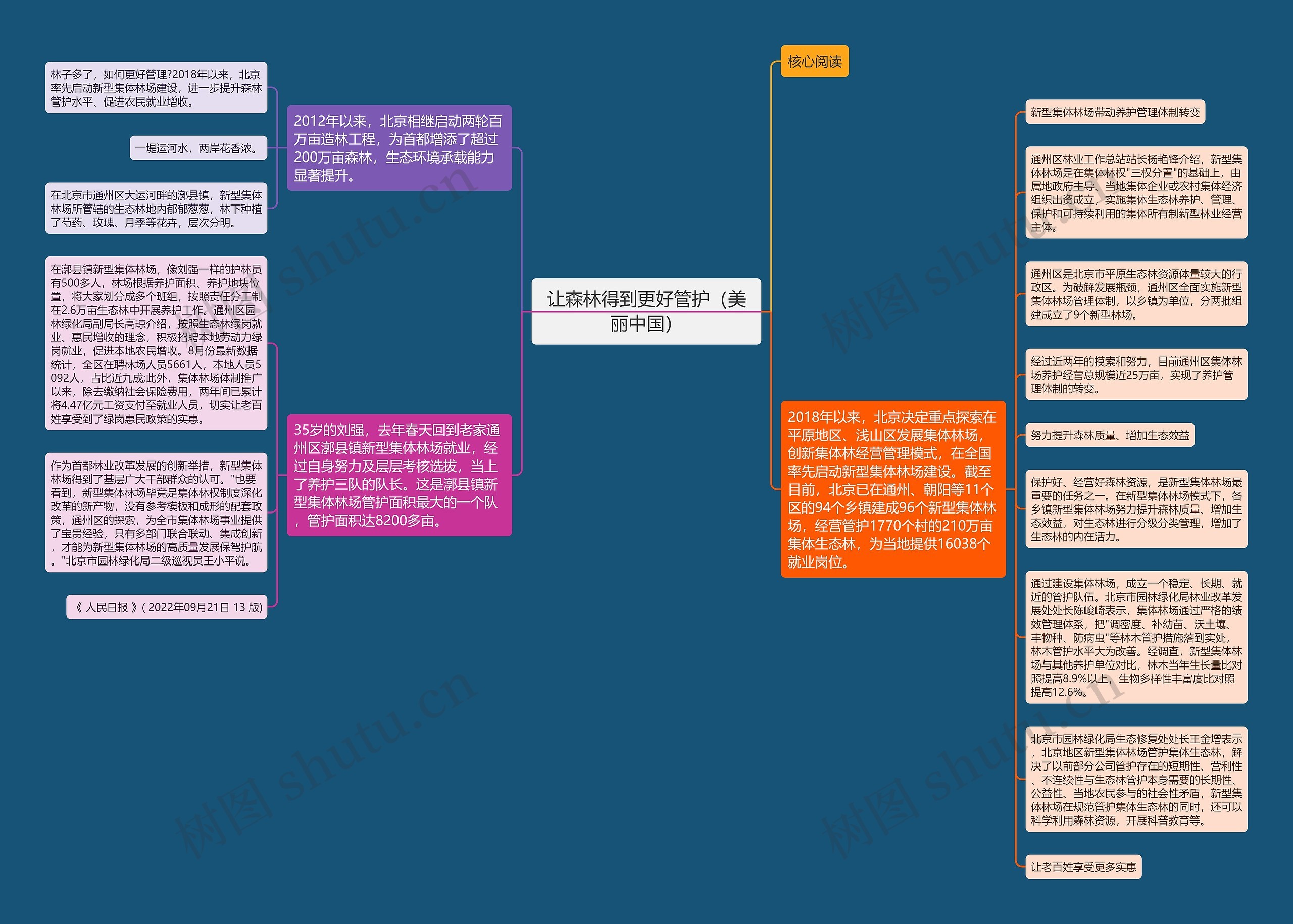 让森林得到更好管护（美丽中国）思维导图