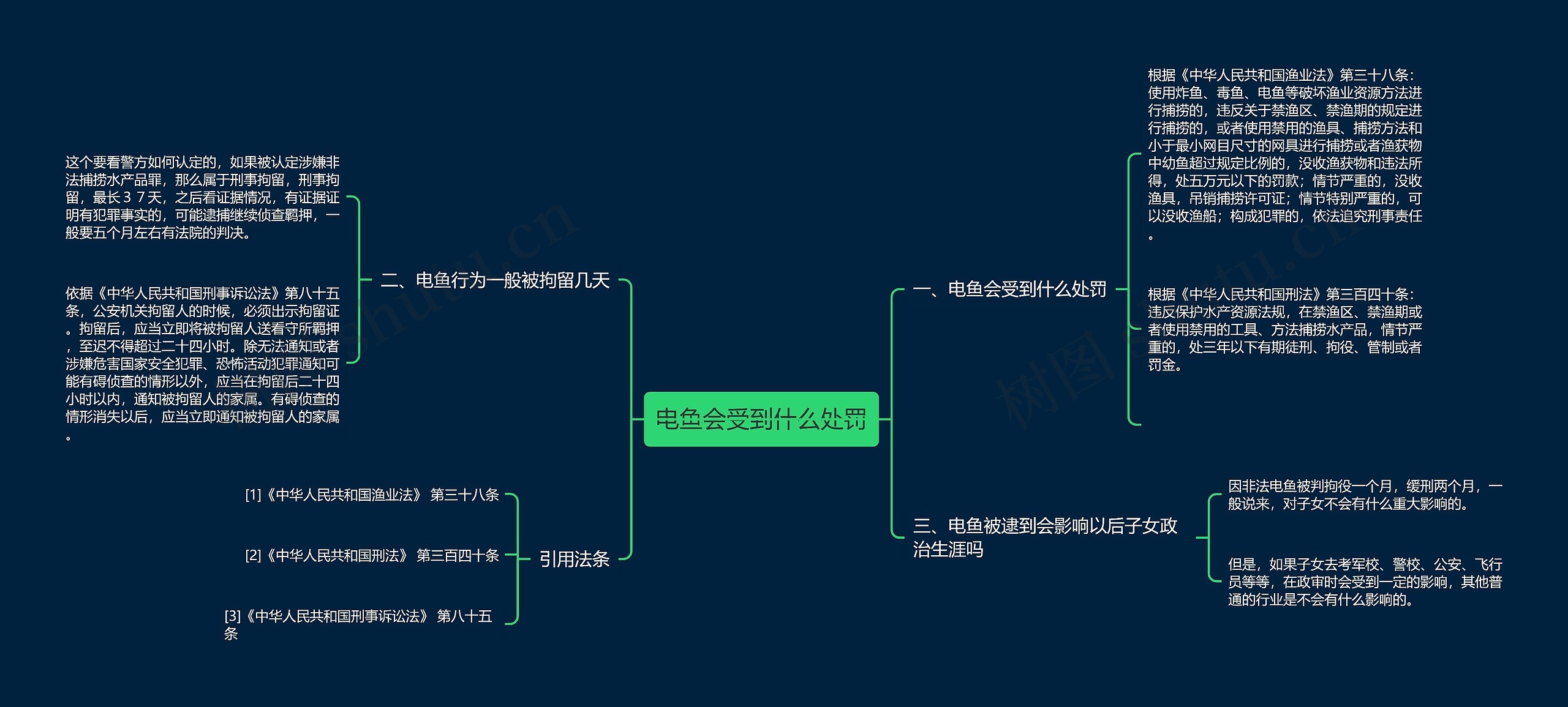 电鱼会受到什么处罚思维导图