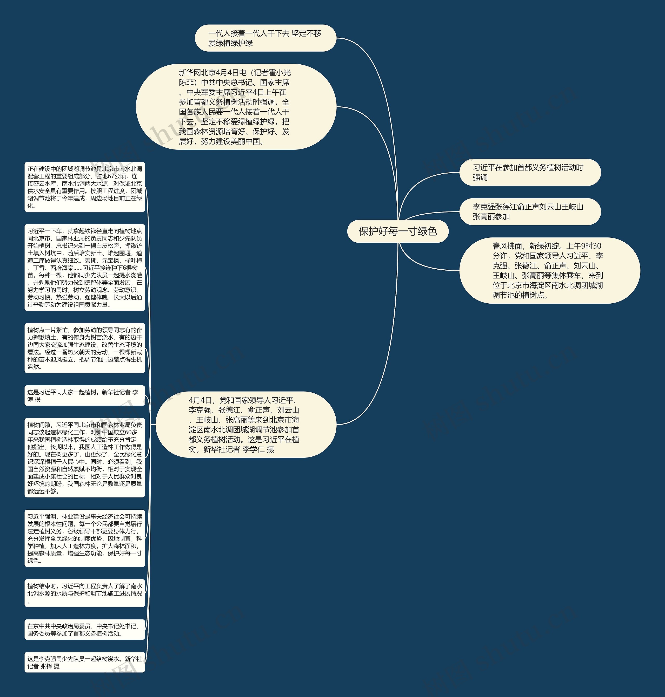 保护好每一寸绿色思维导图