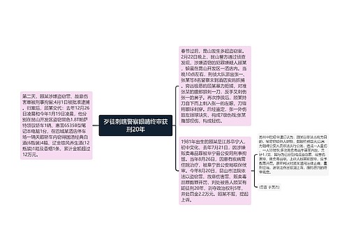 歹徒刺瞎警察眼睛终审获刑20年