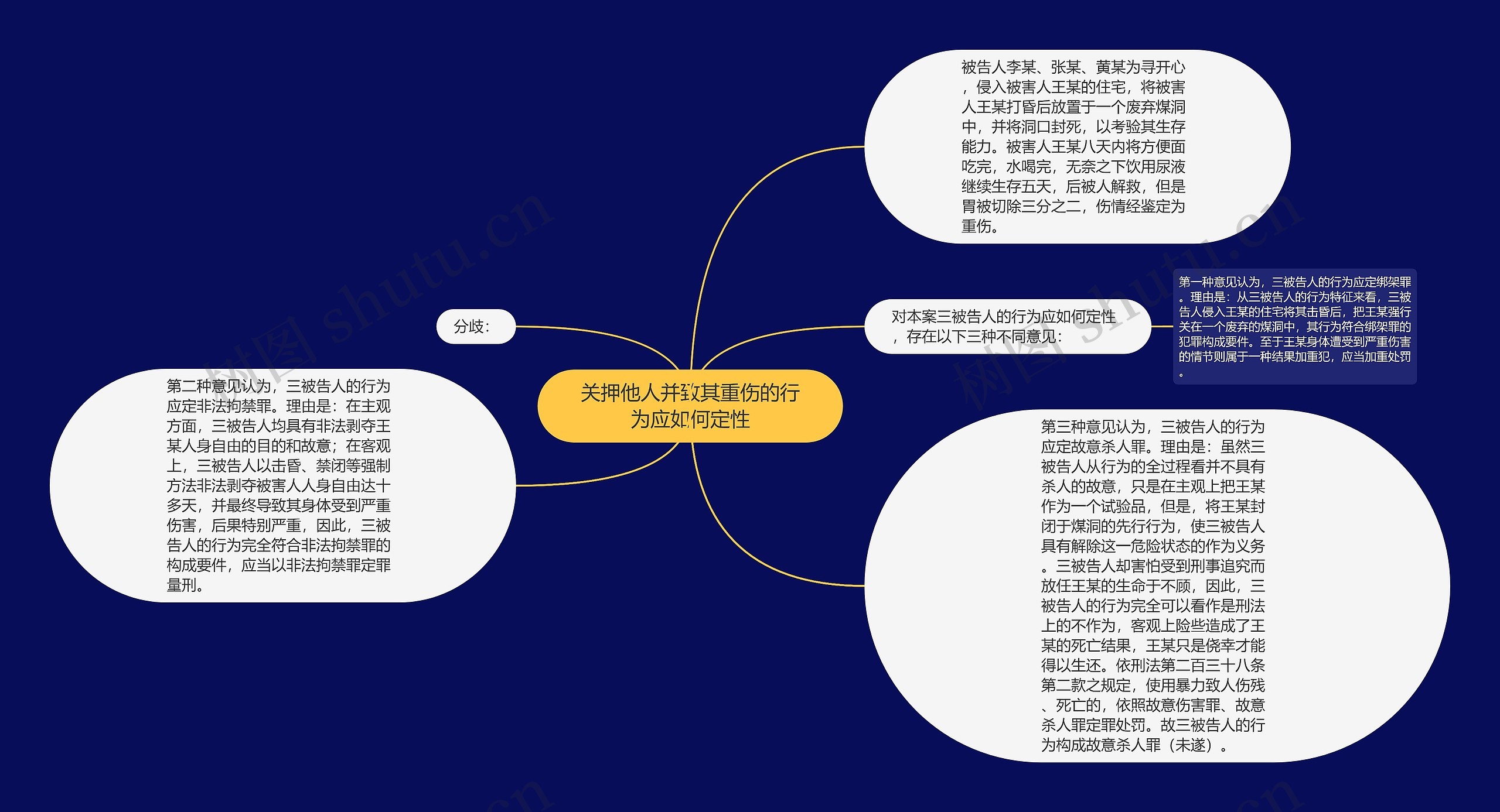 关押他人并致其重伤的行为应如何定性思维导图