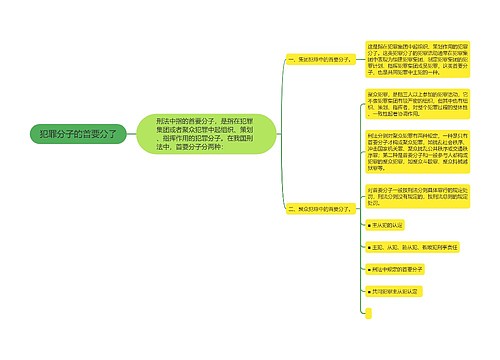 犯罪分子的首要分子