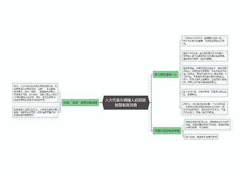 人大代表车辆撞人后拒赔 被限制高消费