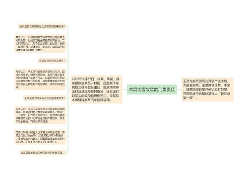 共同伤害故意的刑事责任