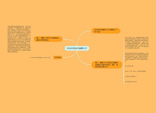 刑法中规定的首要分子