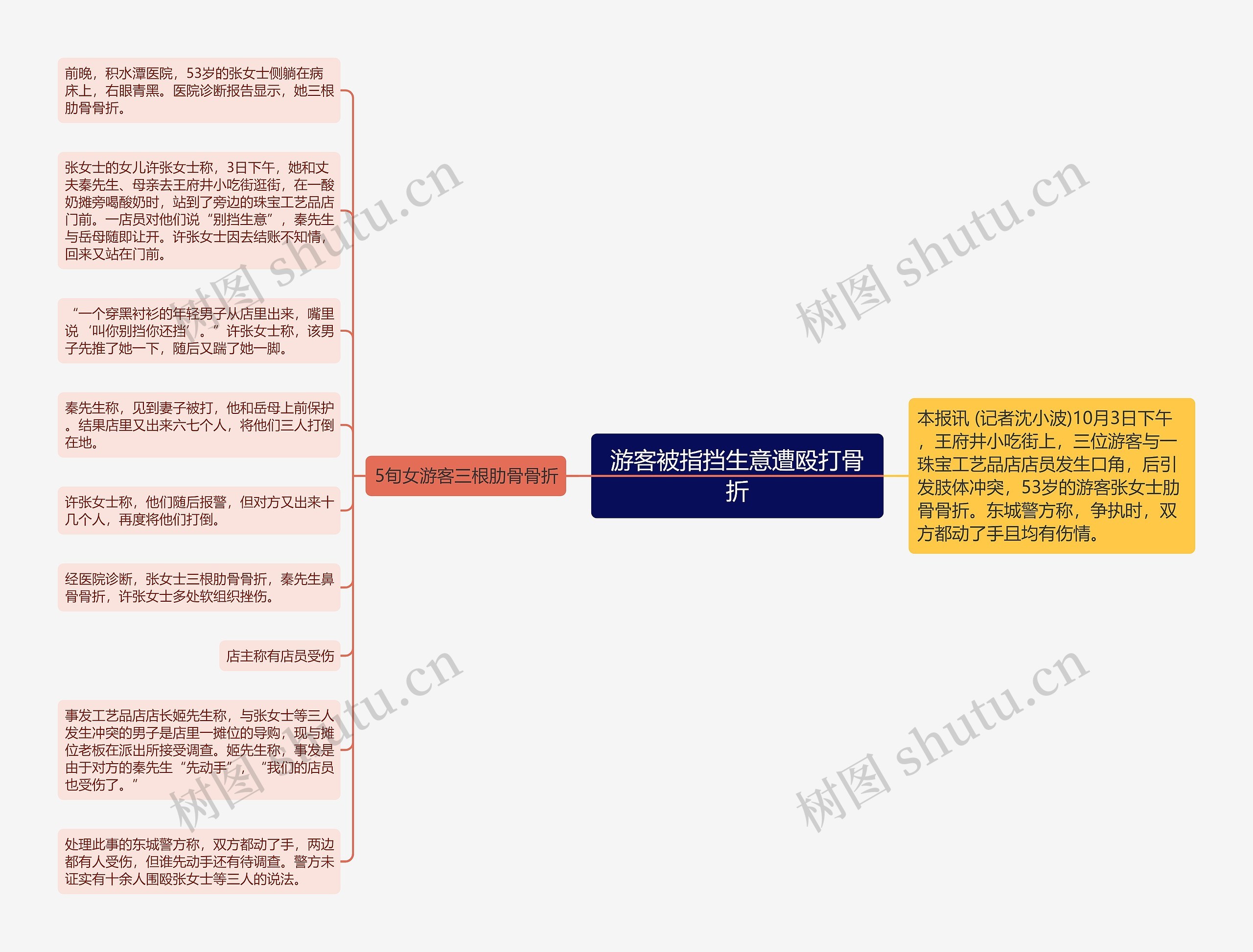 游客被指挡生意遭殴打骨折思维导图