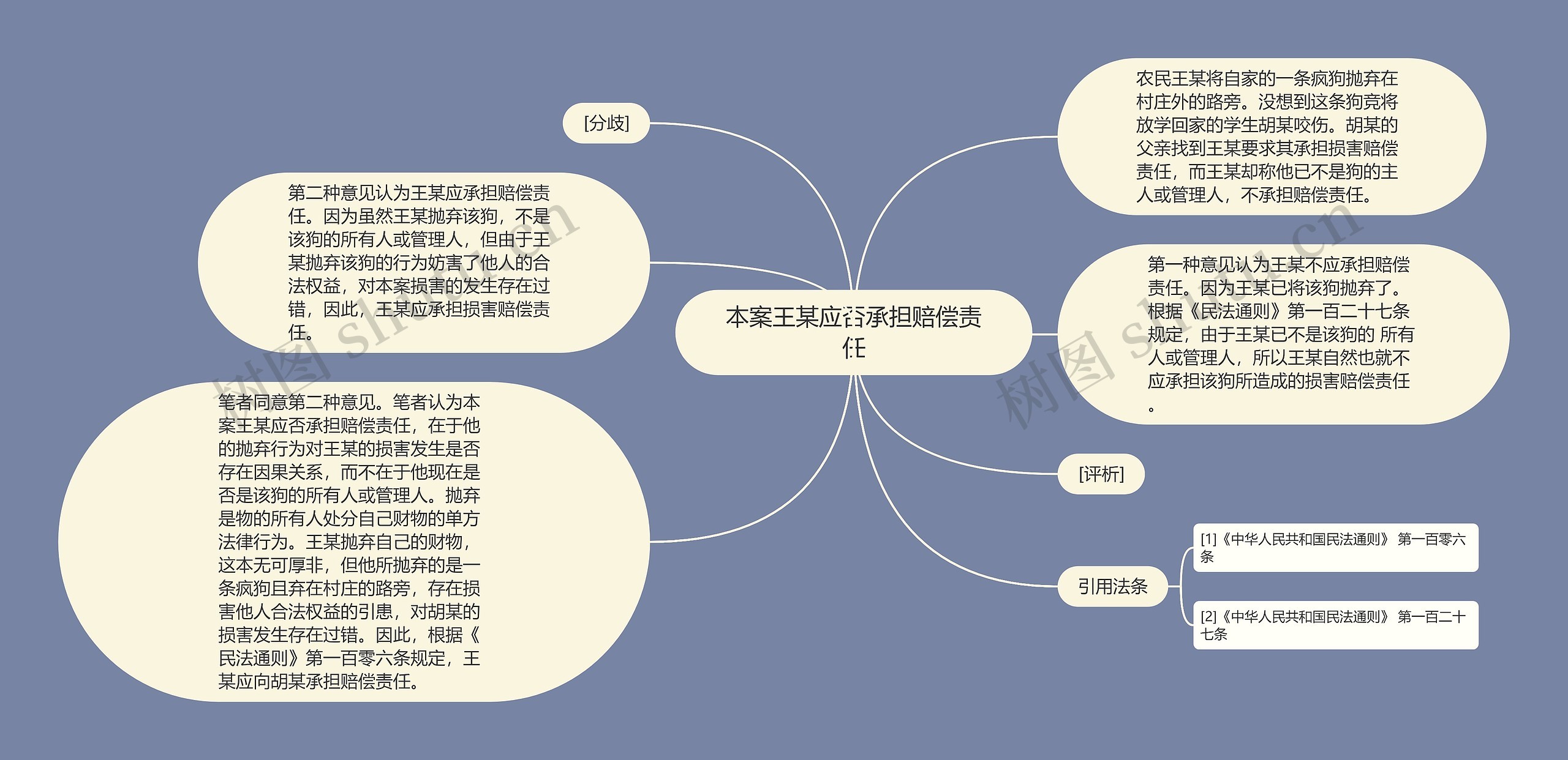 本案王某应否承担赔偿责任思维导图