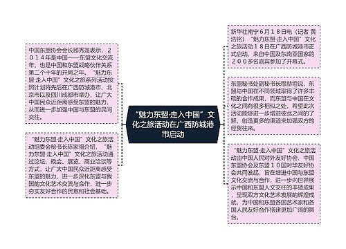 “魅力东盟·走入中国”文化之旅活动在广西防城港市启动