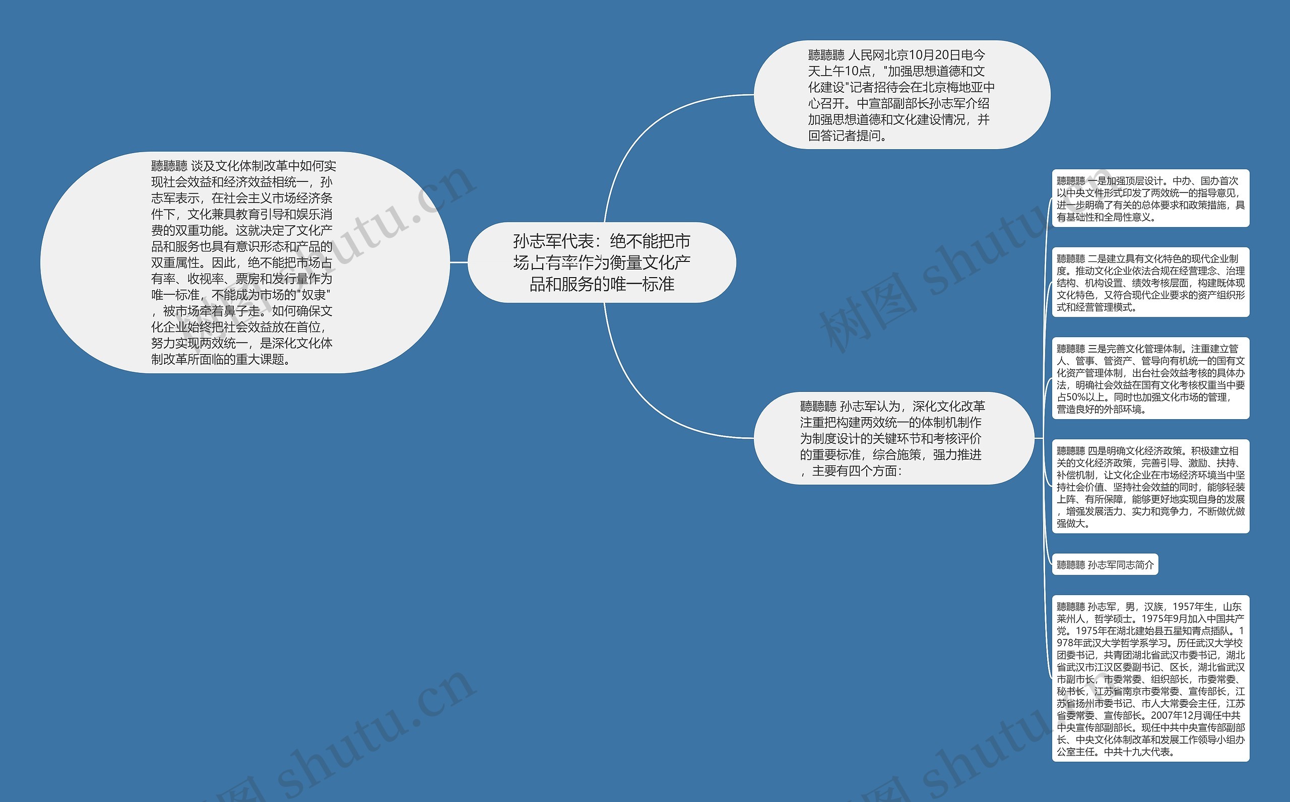 孙志军代表：绝不能把市场占有率作为衡量文化产品和服务的唯一标准思维导图