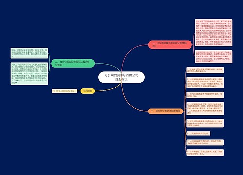 分公司的案件可否由公司提起诉讼