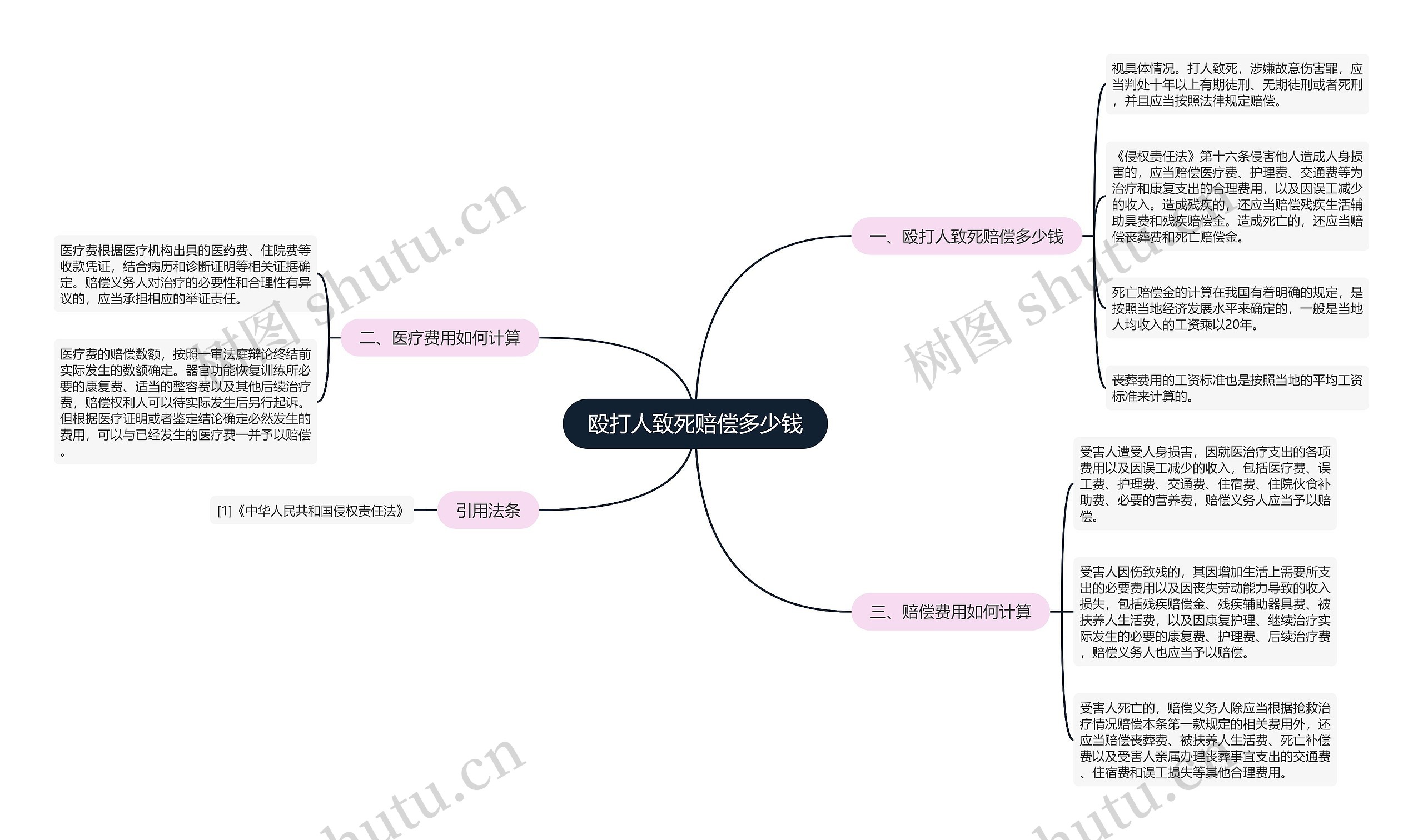 殴打人致死赔偿多少钱思维导图