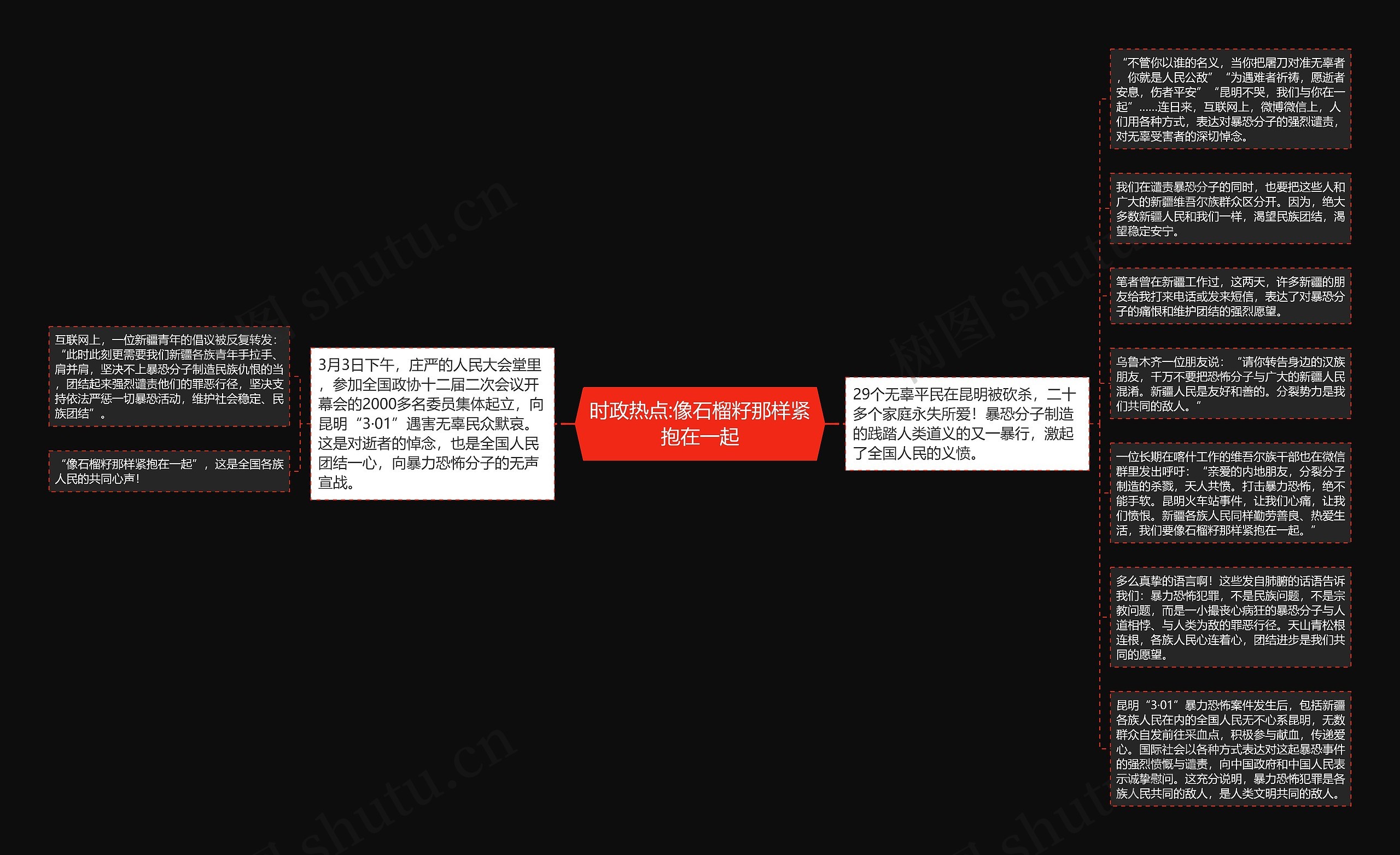 时政热点:像石榴籽那样紧抱在一起思维导图