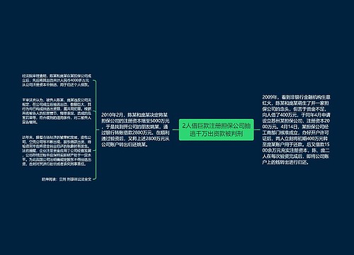 2人借巨款注册担保公司抽逃千万出资款被判刑