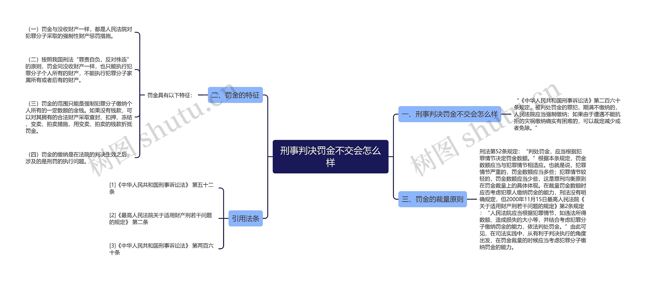 刑事判决罚金不交会怎么样思维导图