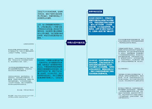 华商力促中瑞交流