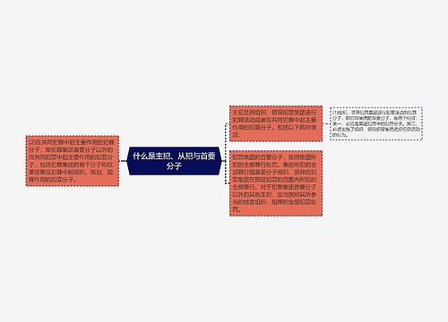 什么是主犯、从犯与首要分子