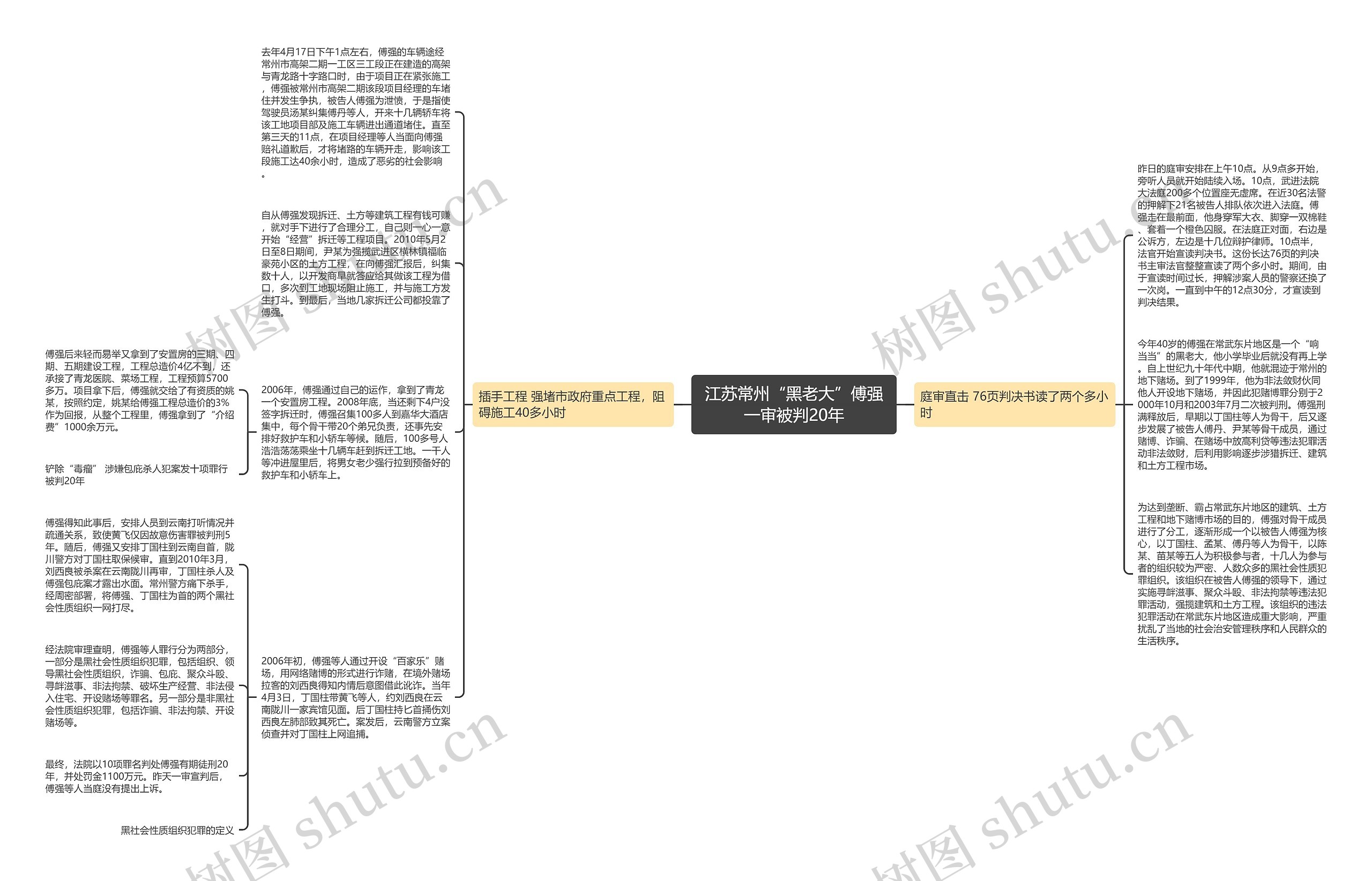 江苏常州“黑老大”傅强一审被判20年思维导图