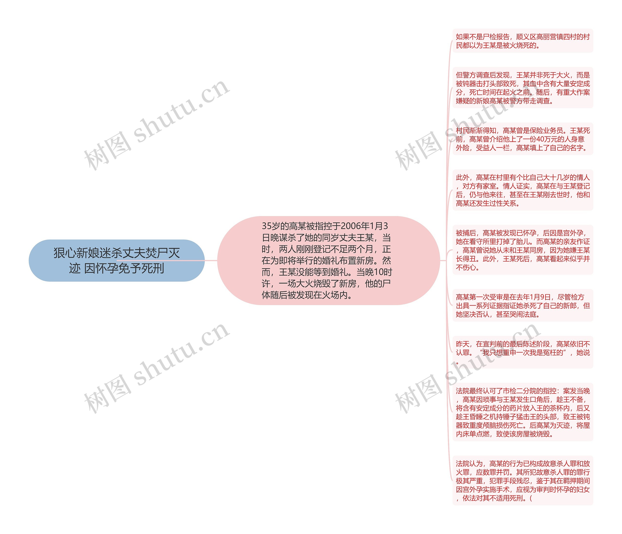 狠心新娘迷杀丈夫焚尸灭迹 因怀孕免予死刑思维导图