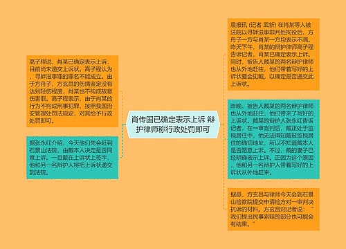 肖传国已确定表示上诉 辩护律师称行政处罚即可