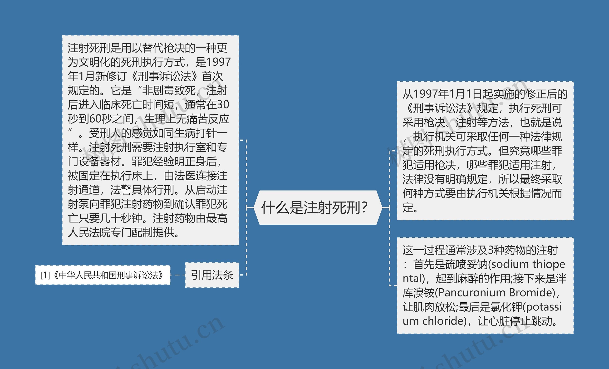 什么是注射死刑? 什么是注射死刑?